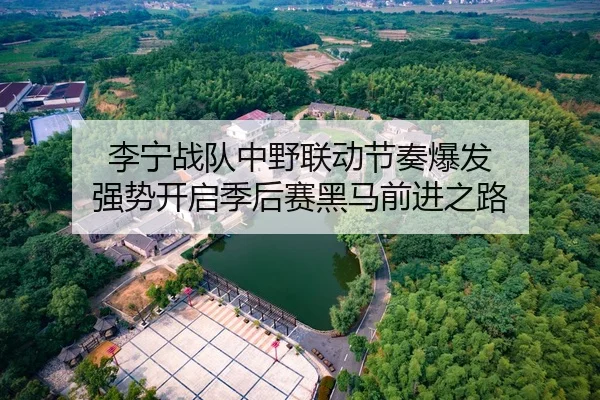 李宁战队中野联动节奏爆发 强势开启季后赛黑马前进之路