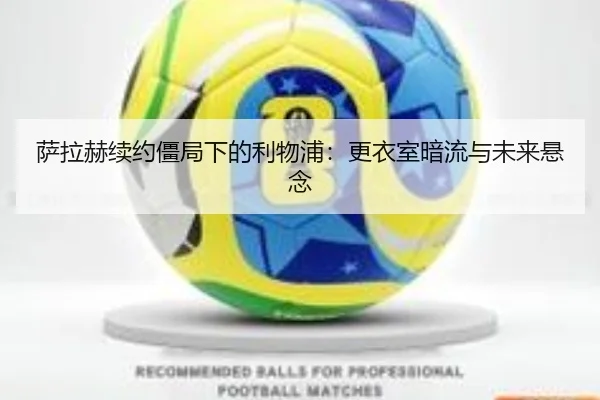 sa-la-he-xu-yue-jiang-ju-xia-de-li-wu-pu-geng-yi-shi-an-liu-yu-wei-lai-xuan-nian-2-125.jpg
