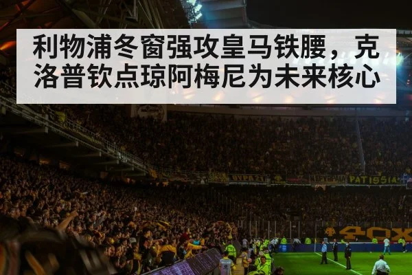 soccer stadium atmosphere